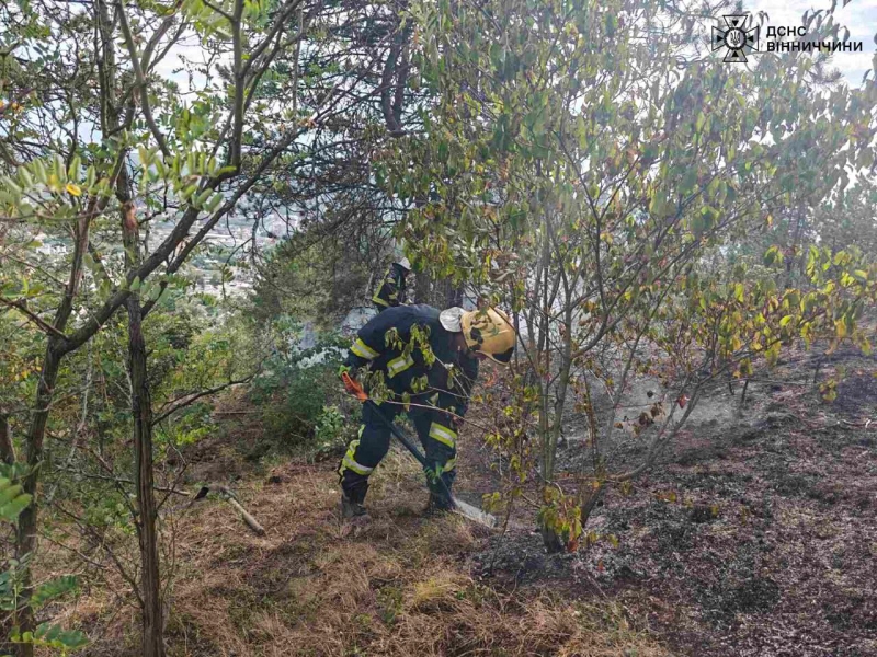 У Могилів-Подільському вигоріло два з половиною гектара