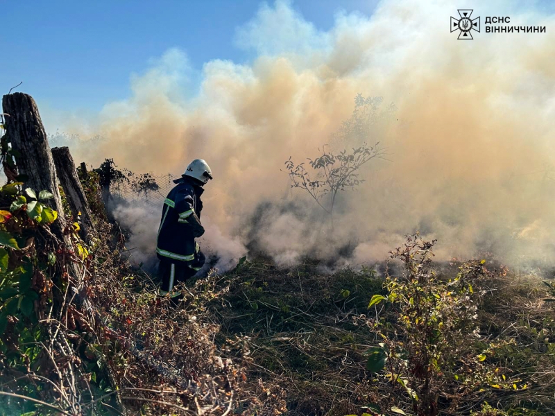 У Хмільницькому районі горіли сухостій та господарча будівля