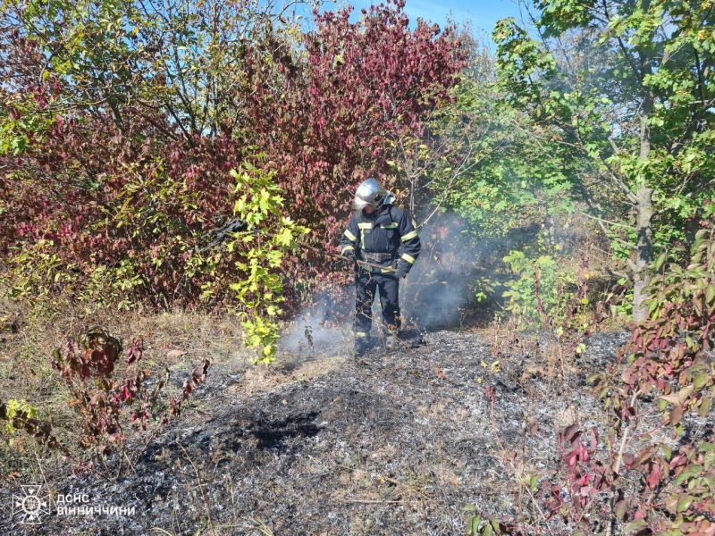 На Вінниччині згоріли два будинки та рослинність на трьох гектарах