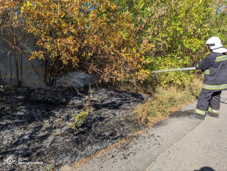 На Вінниччині згоріли два будинки та рослинність на трьох гектарах