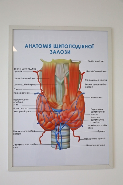 Про здоров’я щитовидної залози і цукровий діабет: поради ендокринолога клініки MEDSUN Олени Отделок