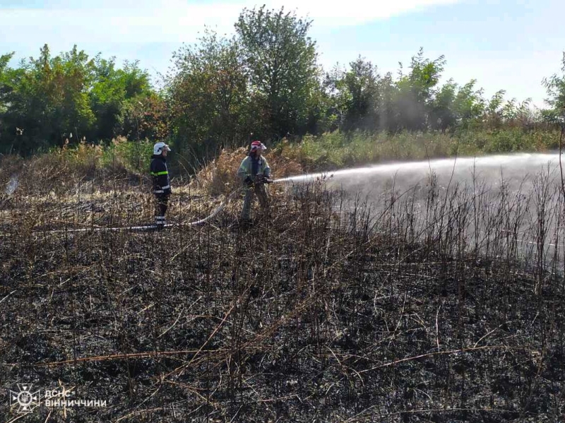 Рекордні пожежі: На Вінниччині за добу сталося 78 пожеж