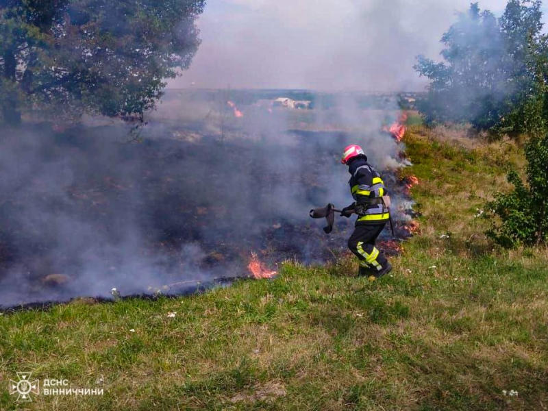 Рекордні пожежі: На Вінниччині за добу сталося 78 пожеж