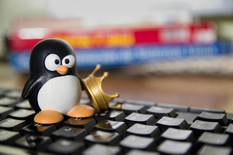 
Ринкова частка Linux досягла нового рекорду – 4,4% 