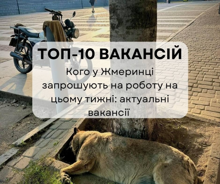 Топ-10 актуальних вакансій у Жмеринці за останній тиждень 