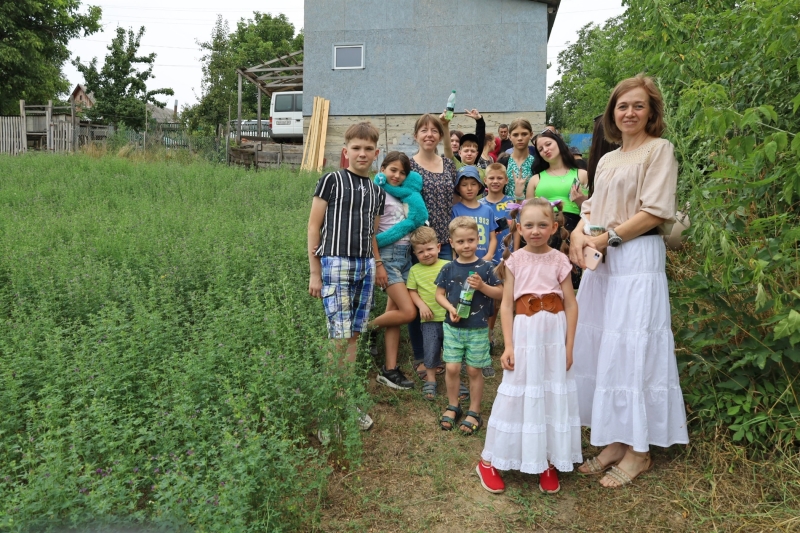 Молочна ферма кіз в селі Тартак Жмеринської громади: сім'я з Луганська виготовляє понад 20 видів сир