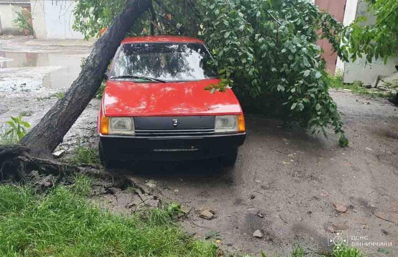 На Вінниччині дерева падали на дороги та пошкодили автомобіль