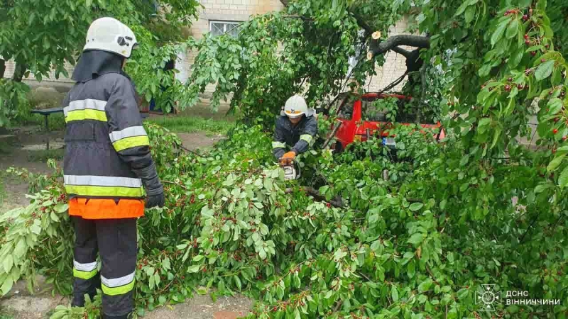 На Вінниччині дерева падали на дороги та пошкодили автомобіль