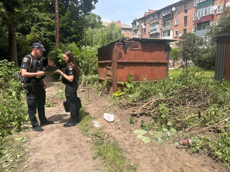 Скандал по вулиці Франка: місцеві не дозволяють забудовнику зрізати кущі біля будинку 