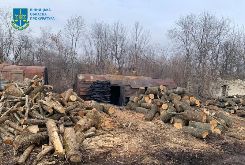 Судитимуть зловмисників, які на Вінниччині налагодили незаконне виробництво деревного вугілля