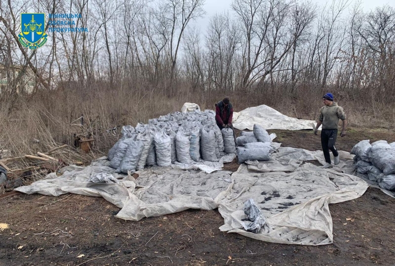 Судитимуть зловмисників, які на Вінниччині налагодили незаконне виробництво деревного вугілля